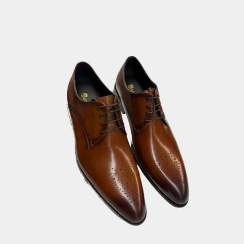 Carrucci brown